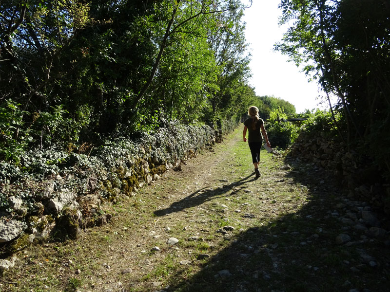 Giro del Monteghello -  sentiero F1 (Rovereto)